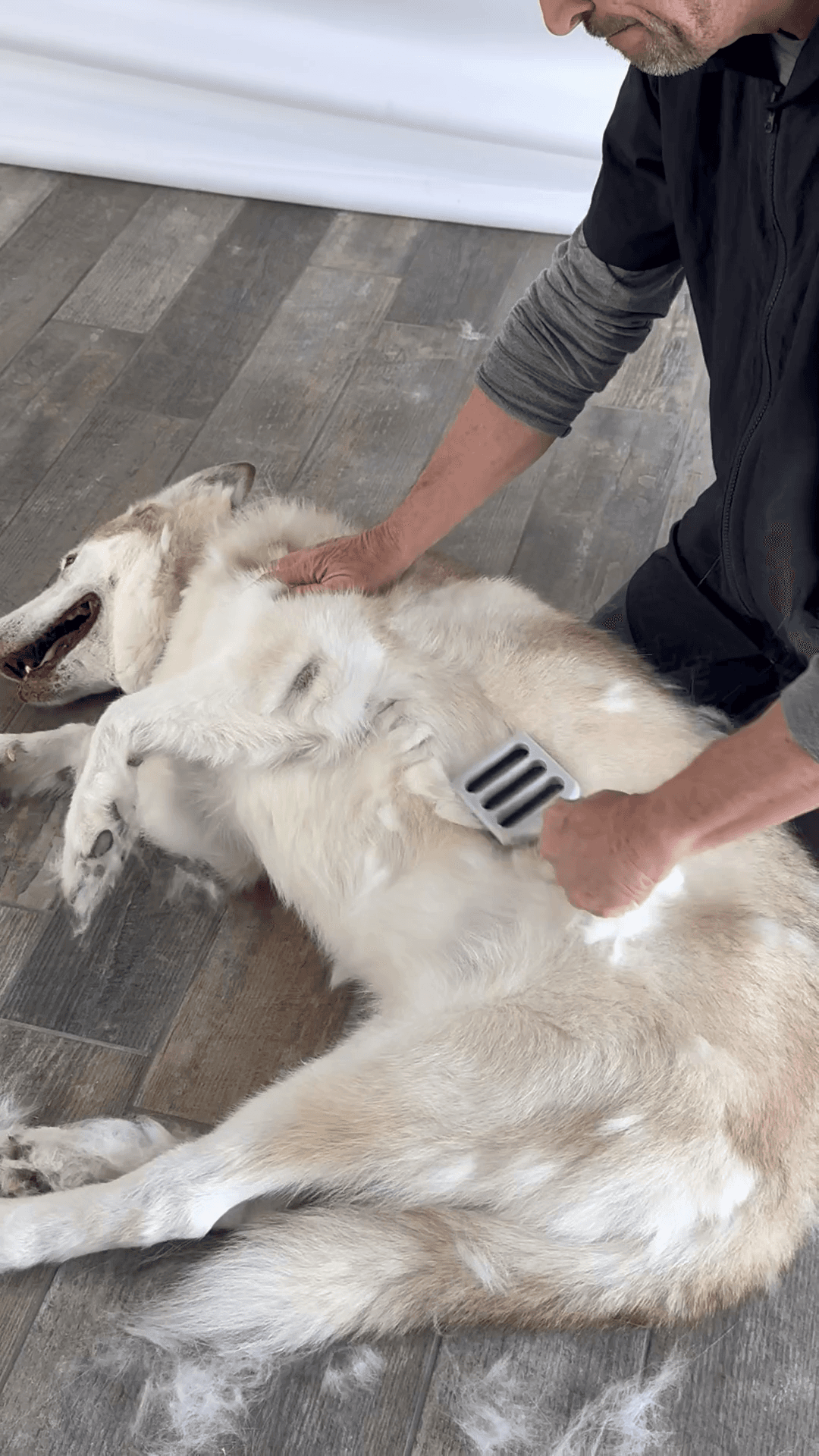 FUR4 deShedding tool demonstration