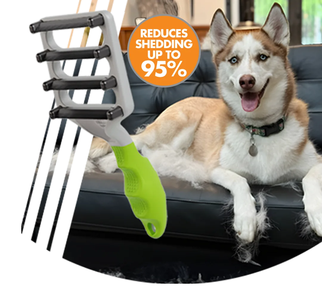 Husky on couch with FUR4 deShedding tool